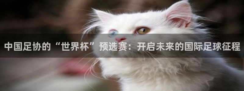 世界杯预选赛赛程表：中国足协的“世界杯”预选赛：开启未来的国际足球征程