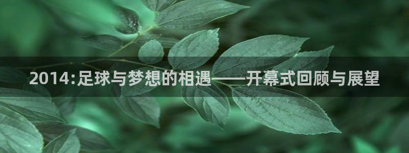 世界杯赛程表2026：2014:足球与梦想的相遇——开幕式回顾与展望