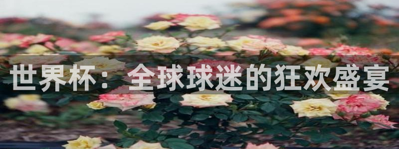 2026年世界杯赛程：世界杯：全球球迷的狂欢盛宴