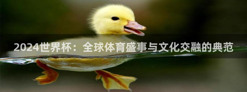 世界杯直播在线观看入口：2024世界杯：全球体育盛事与文化交融的典范