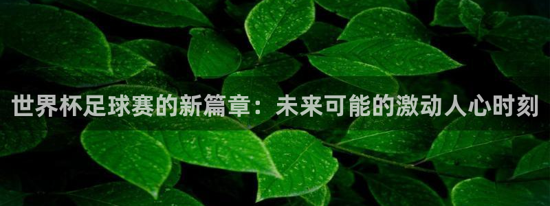 世界杯预选赛2026：世界杯足球赛的新篇章：未来可能的激动人心时刻