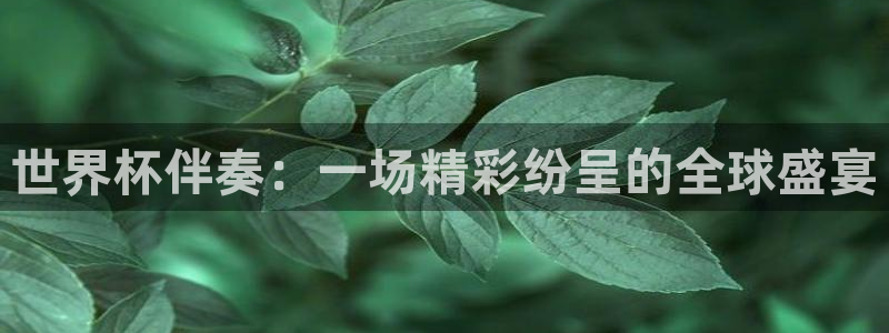世界杯比赛：世界杯伴奏：一场精彩纷呈的全球盛宴