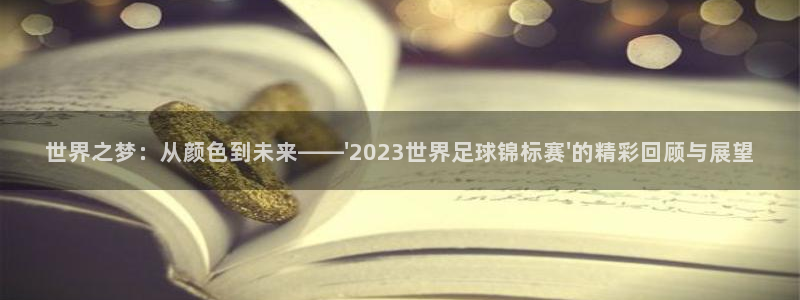 2026年男足世界杯：世界之梦：从颜色到未来——\'2023世界足球锦标赛\'的精彩回顾与展望