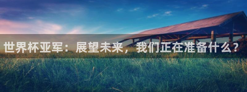 2026世界杯直播：世界杯亚军：展望未来，我们正在准备什么？