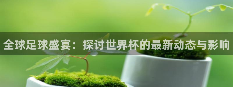 2026年世界杯赛程：全球足球盛宴：探讨世界杯的最新动态与影响