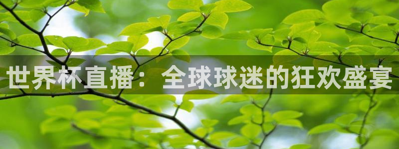 世界杯比赛直播：世界杯直播：全球球迷的狂欢盛宴