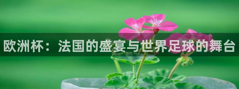 足球世界杯2026：欧洲杯：法国的盛宴与世界足球的舞台