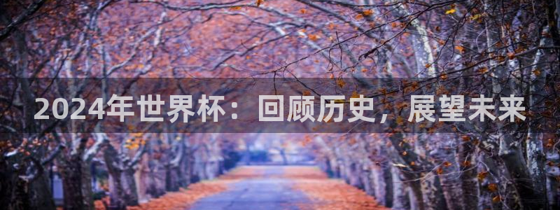足球世界杯预选赛：2024年世界杯：回顾历史，展望未来