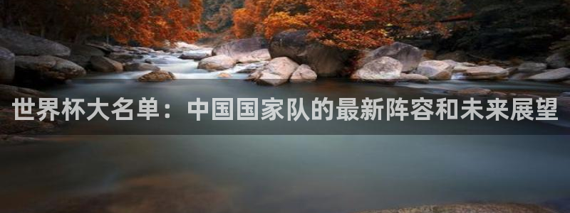 世界杯2026比赛时间表:世界杯大名单:中国国家队的最新阵容和未来展望