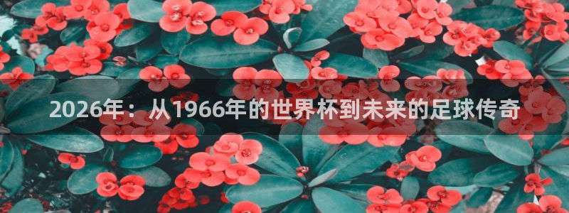 2006年世界杯冠军：2026年：从1966年的世界杯到未来的足球传奇