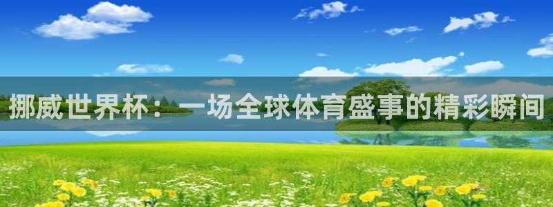 世界杯预选赛直播：挪威世界杯：一场全球体育盛事的精彩瞬间