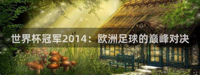 世界杯决赛圈球队：世界杯冠军2014：欧洲足球的巅峰对决