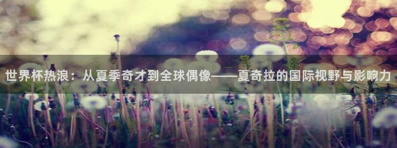 2026年世界杯赛程表时间：世界杯热浪：从夏季奇才到全球偶像——夏奇拉的国际视野与影响力